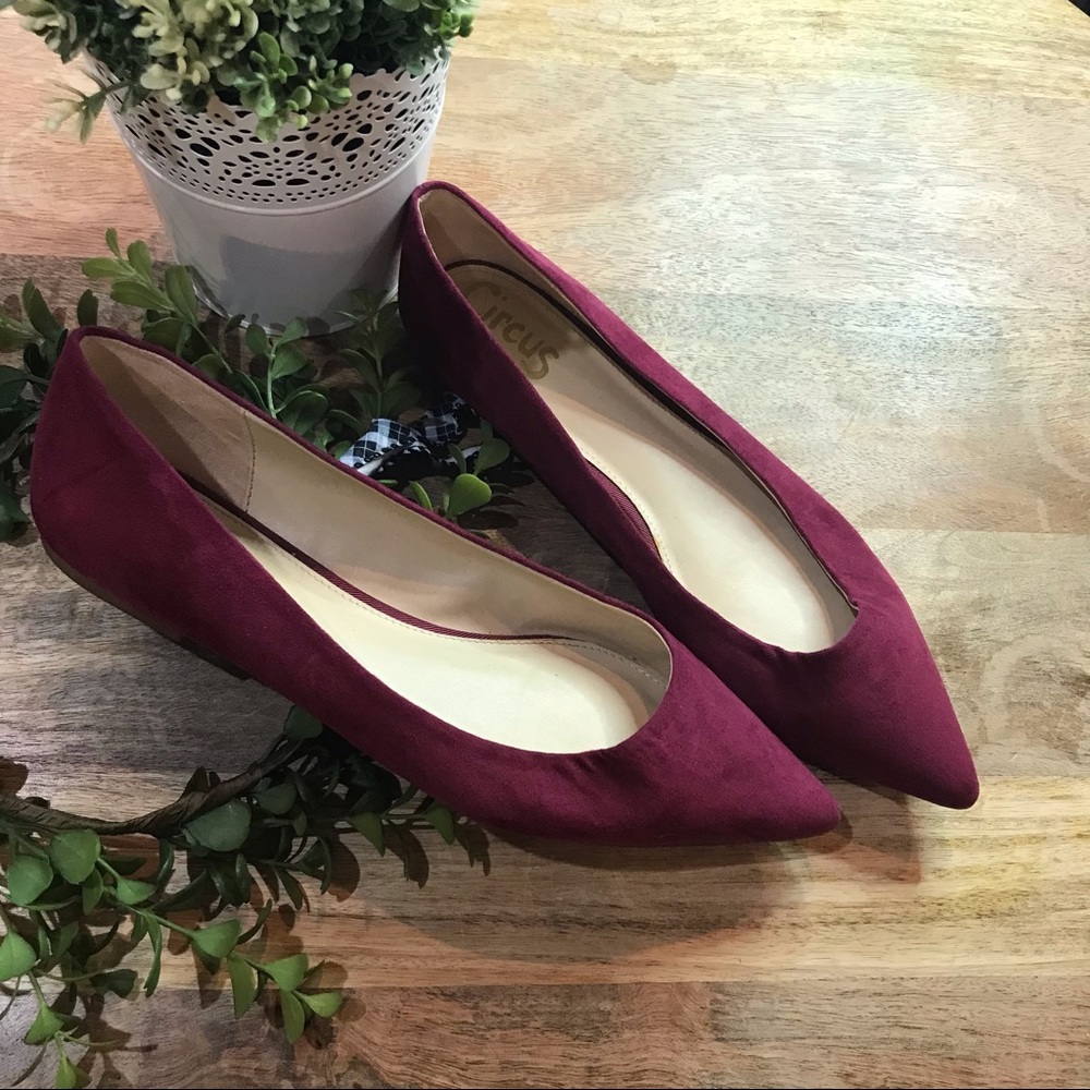 Circus by Sam Edelman Burgundy Suede Flat Shoes - Picture 1 of 6